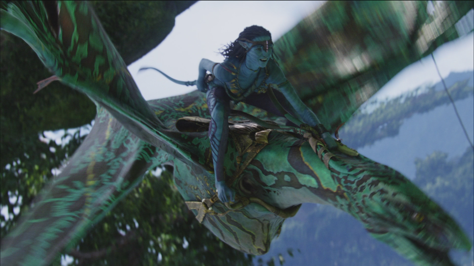 Photo from Avatar Film